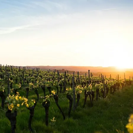Le Cocon Du Vignoble 公寓 *